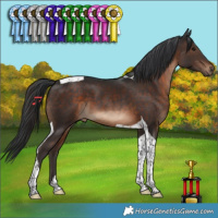Horse Color:Brown Tobiano