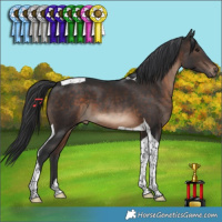 Horse Color:Brown Tobiano 