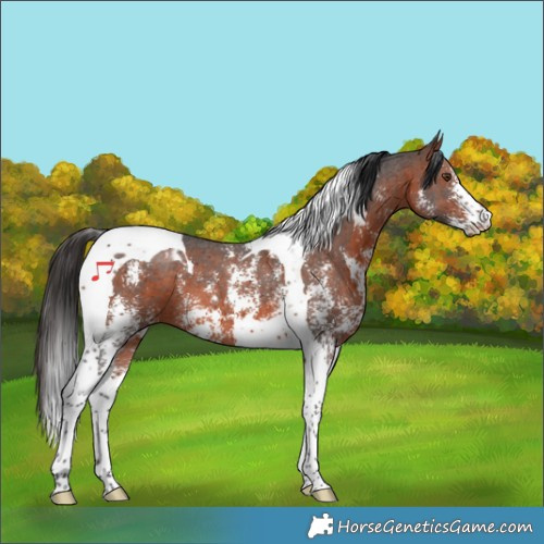 Horse Color:Bay Mushroom Sabino Tobiano 
