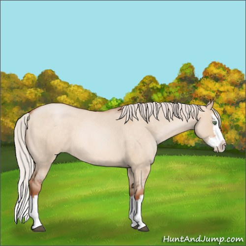 Horse Color:Silver Bay Roan Pearl Dun Splash 