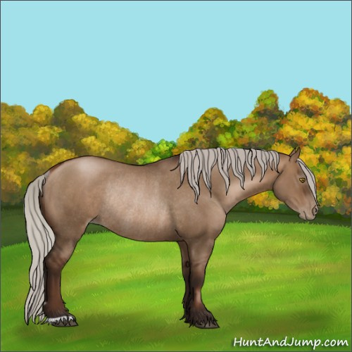 Horse Color:Gray Silver Bay Pearl Dun Rabicano 
