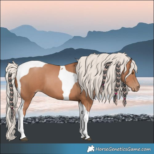 Horse Color:Silver Black Pearl Tobiano