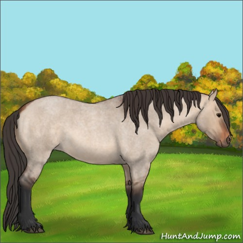 Horse Color:Bay Roan Dun 