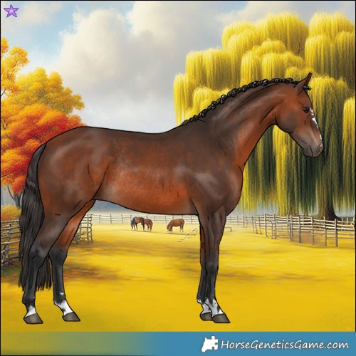 Horse Color:Brown Rabicano  and Bay Rabicano 