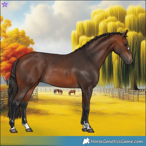 Horse Color:Brown Rabicano  and Bay Rabicano 