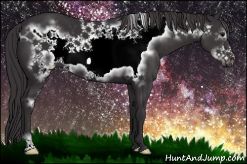 Horse Color:Smoky Black Frame