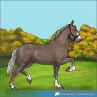 Horse Color:Silver Black 