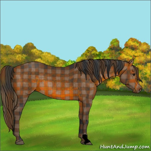 Horse Color:Plaid  Brown 