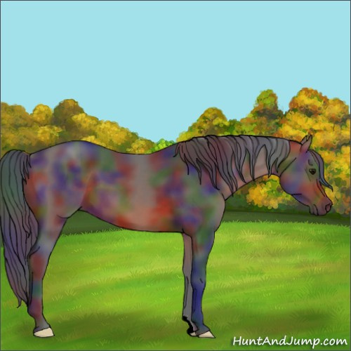 Horse Color:Nacre Bay