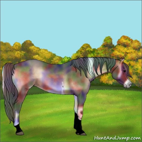 Horse Color:Nacre Brown Onyx Tobiano 