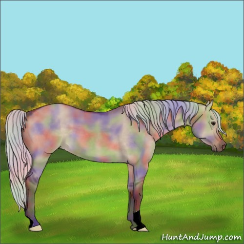 Horse Color:Nacre Silver Brown Dun 