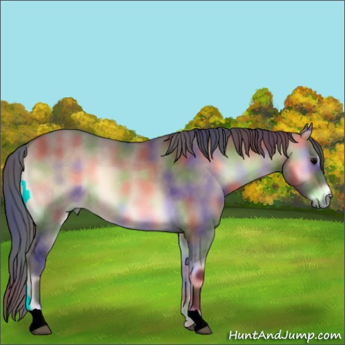Horse Color:Nacre Brown Onyx 