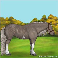 Horse Color:Silver Black 