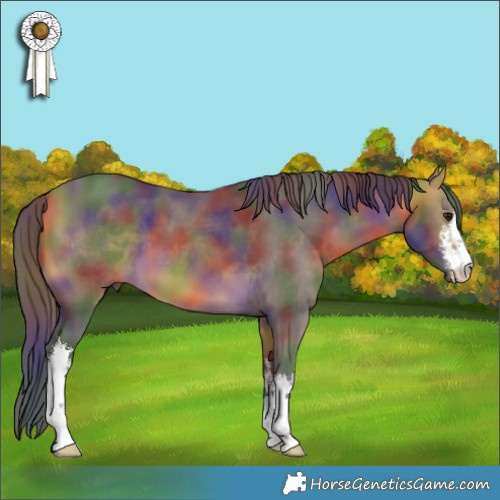 Horse Color:Nacre White Spotted Buckskin 