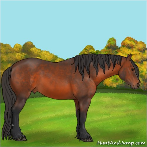Horse Color:Brown 