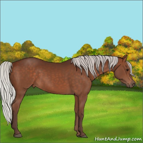 Horse Color:Silver Brown 