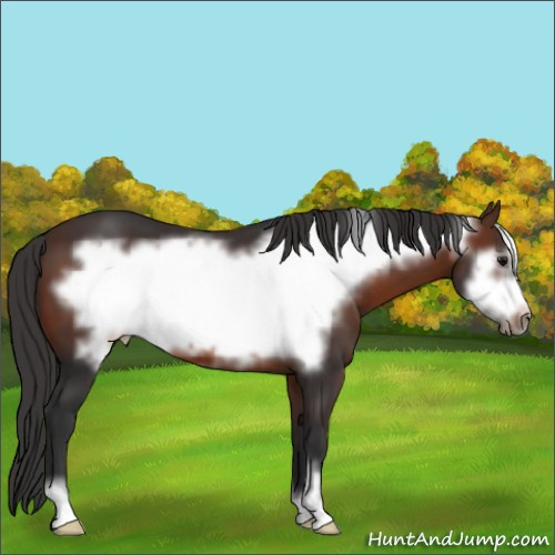 Horse Color:Brown Frame 