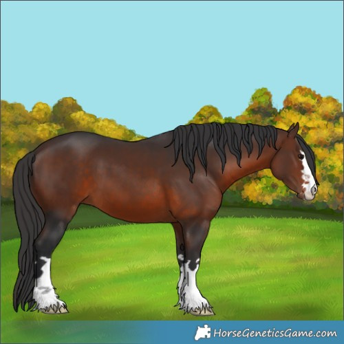 Horse Color:Brown 