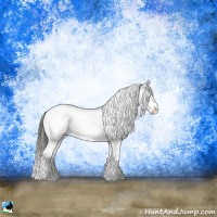 Horse Color:Liver Red Onyx Ice Sabino Splash 