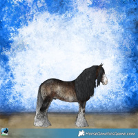 Horse Color:Brown Ice Onyx Sabino Rabicano 