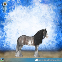 Horse Color:Brown Ice Sabino Rabicano 