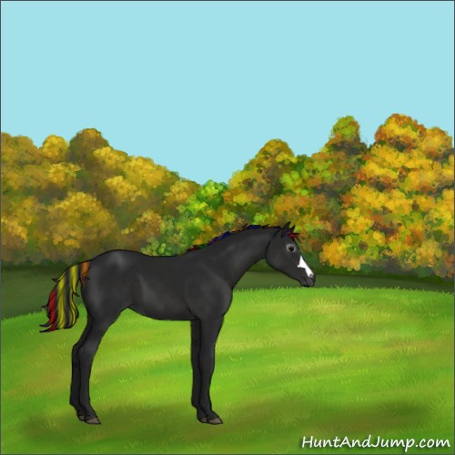 Horse Color:Gray Painted Black 