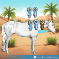 Horse Color:Silver Brown Chinchilla Dun Appaloosa 