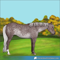 Horse Color:Chocolate Silver Black Chinchilla