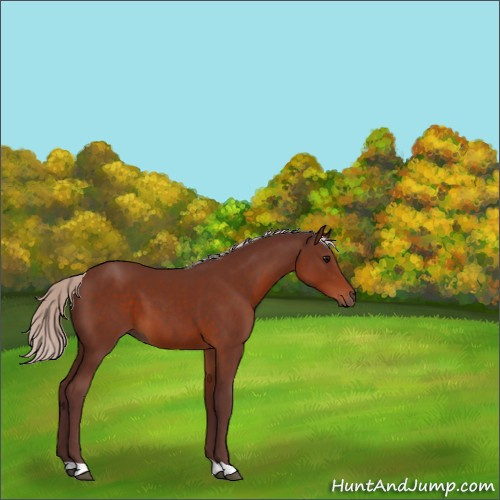 Horse Color:Chocolate Silver Brown 