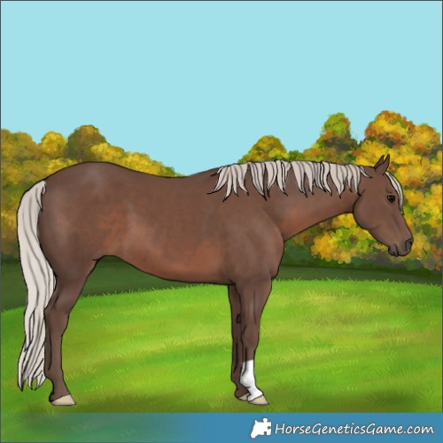 Horse Color:Silver Black 
