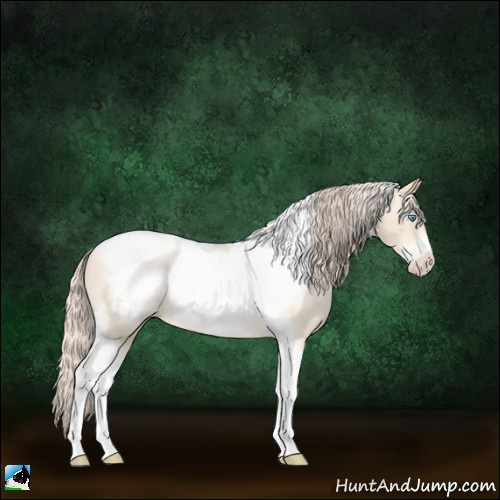 Horse Color:Chocolate Palomino Pearl Dun Tobiano Frame  and Gold Cream Champagne Pearl Dun Tobiano Frame 