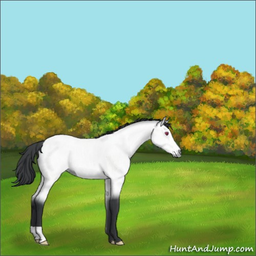 Horse Color:Brown Chinchilla 