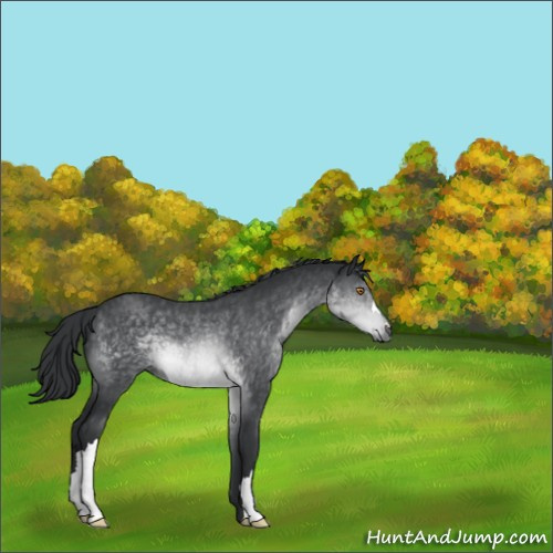 Horse Color:Brown Chinchilla 
