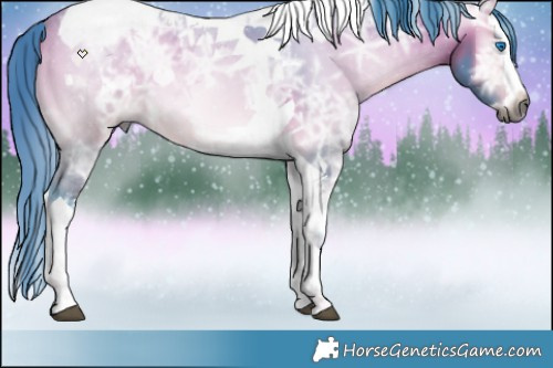 Horse Color:Gray Watercolor Buckskin Ice Onyx Splash Tobiano Appaloosa 