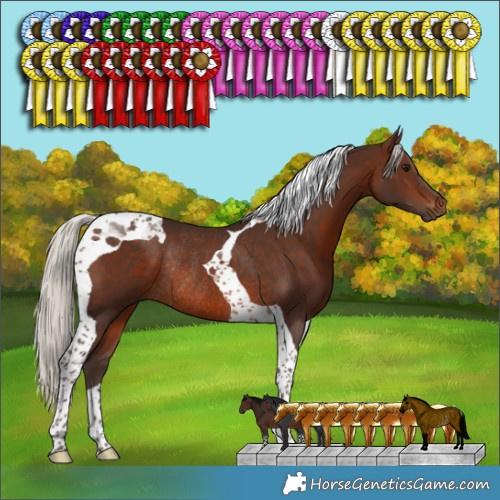 Horse Color:Silver Brown Tobiano Rabicano 
