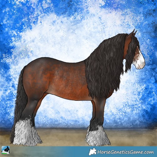 Horse Color:Brown Sabino Rabicano