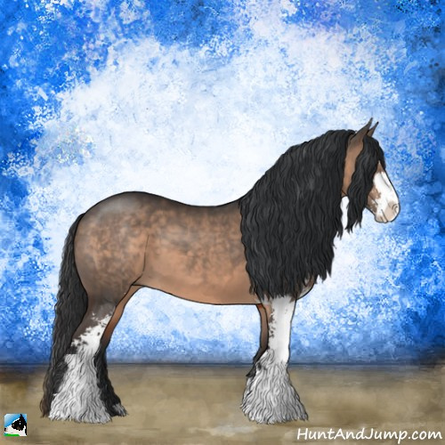 Horse Color:Brown Dun Sabino 