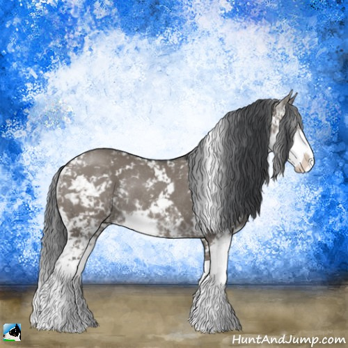 Horse Color:Grullo Sabino Rabicano 