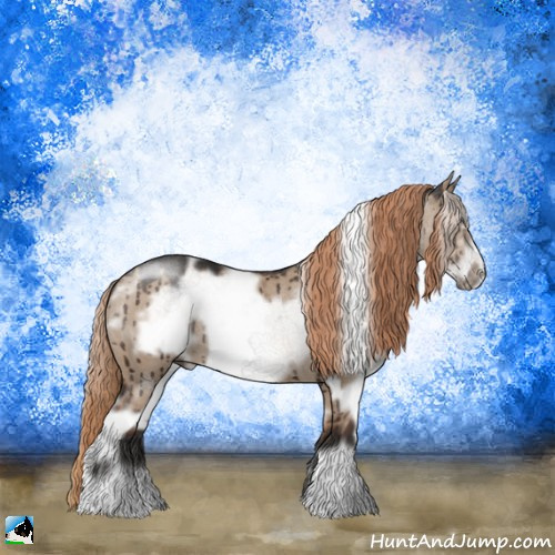 Horse Color:White Spotted Liver Red Dun Frame Rabicano Brindle 