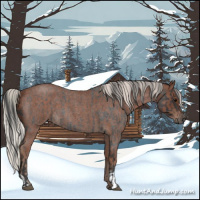 Horse Color:Blue Roan and Silver Blue Roan