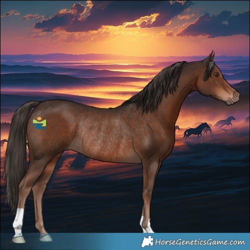 Horse Color:Liver Chestnut Rabicano 
