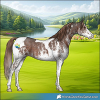 Horse Color:White Spotted Liver Chestnut Tobiano 