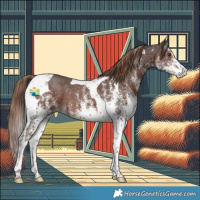 Horse Color:White Spotted Liver Chestnut Tobiano 