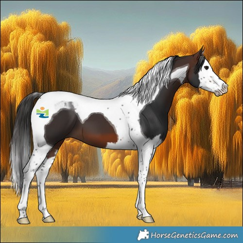 Horse Color:Brown Splash Tobiano 