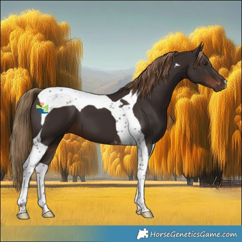 Horse Color:Liver Chestnut Tobiano 