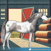 Horse Color:Brown Splash Tobiano Appaloosa 