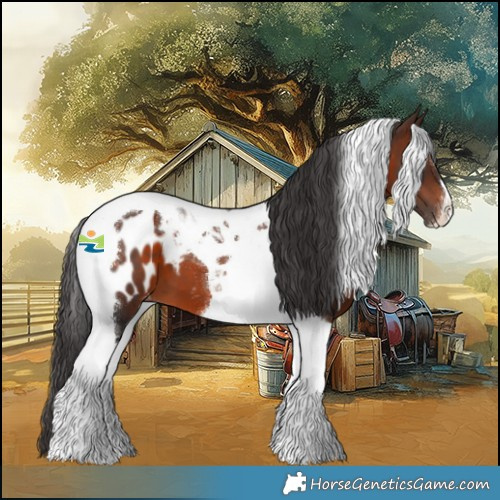 Horse Color:Brown Tobiano Appaloosa 