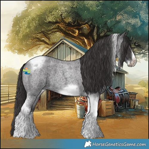 Horse Color:Smoky Blue Roan Tobiano Frame 