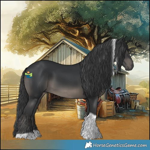 Horse Color:Black Tobiano 