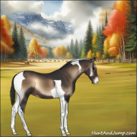 Horse Color:Brown Onyx Tobiano Appaloosa 